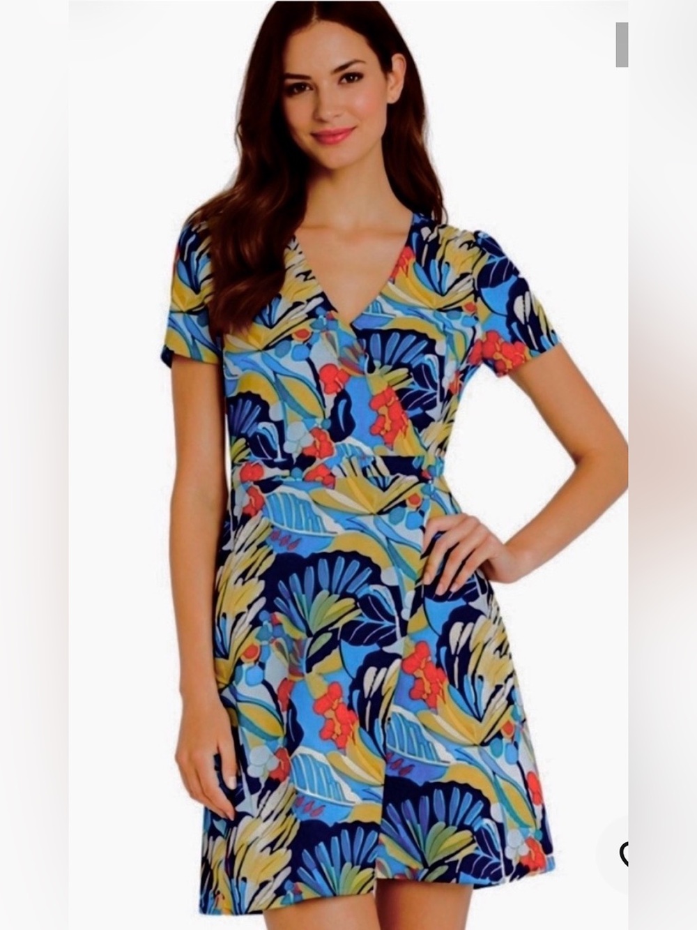 Crew Mercantile Floral Mini Dress in Blue & Red Size 8 great condition!